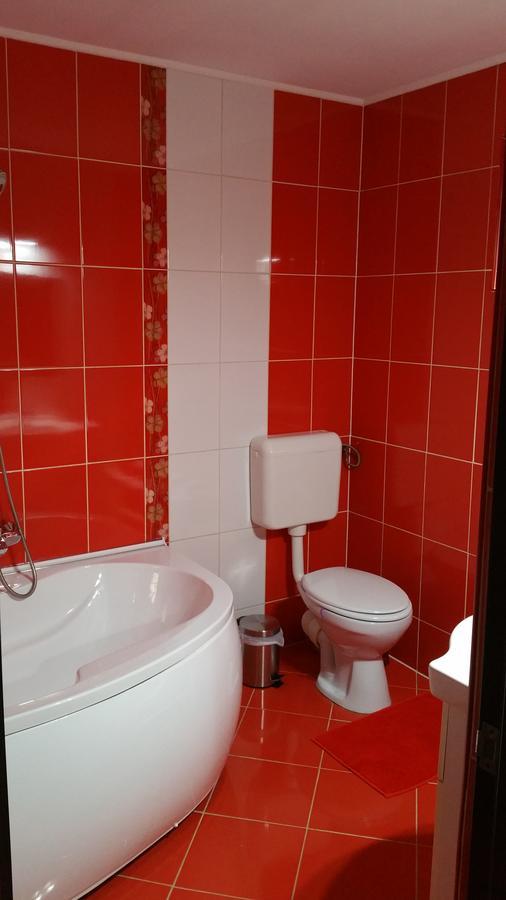 Ferienwohnung Casa Bergwald Rîşnov Exterior foto